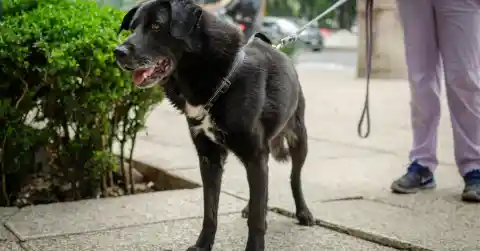 The Friday Night Ritual