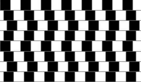 The Black and White Illusion