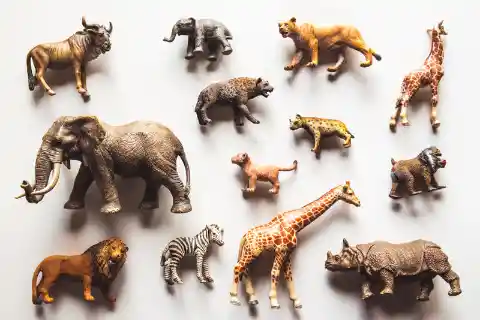 ¿Cuál es el Animal más Inteligente del Mundo?