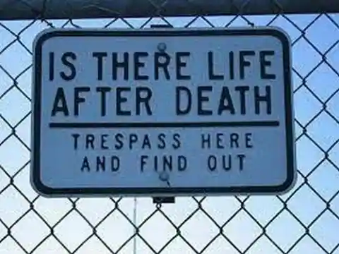 Life After Death?