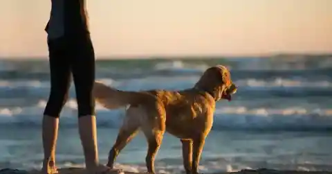 Thinking It Over