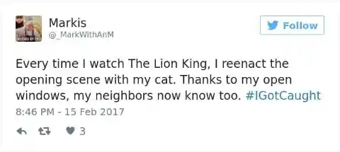 The Lion King And Its Neighbors