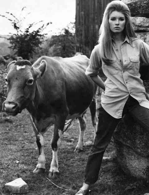 Martha Stewart And A Cow... - 1964