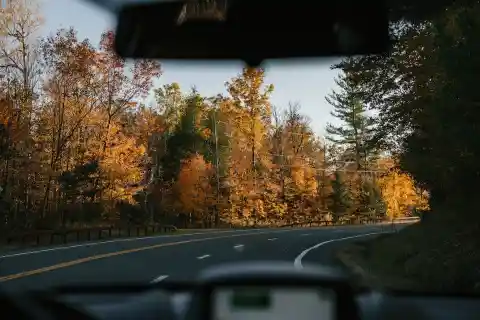 Showing Up