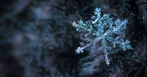 Unraveling 'The Boy in the Box': America's Most Enigmatic Cold Case