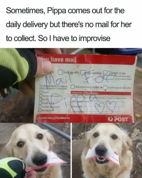 The Cutest Mailman Ever