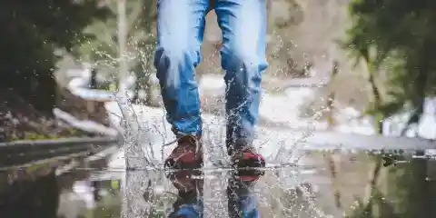 A Rude Driver Splashed Mud on Me at a Crosswalk – He Gasped When He Realized I Was the One Interviewing Him for the $240K Job
