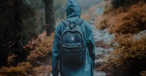 The Feelings Return