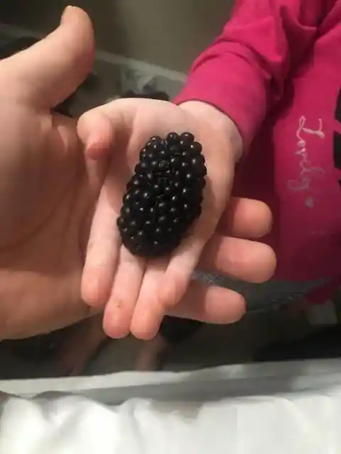 Berry Big