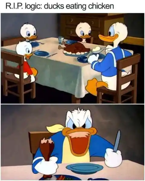 Ducks eating chicken