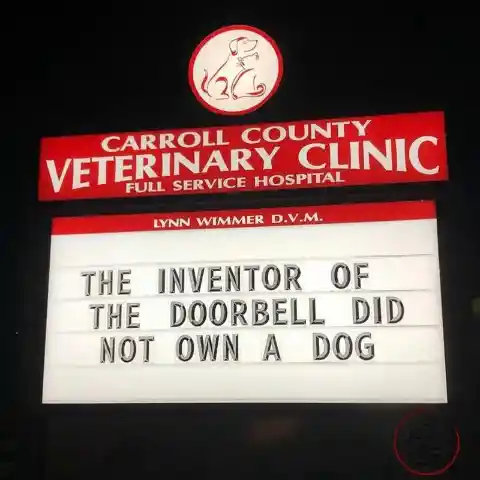 Dog Against Doorbell