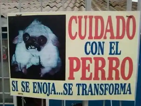 Por Favor... No Altere al Perrito