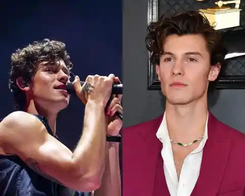 Talented Canadian Shawn Mendes