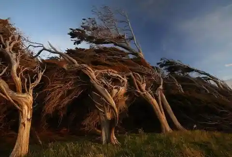 Slope Point in New Zealand