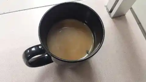 Coffee With a Fly