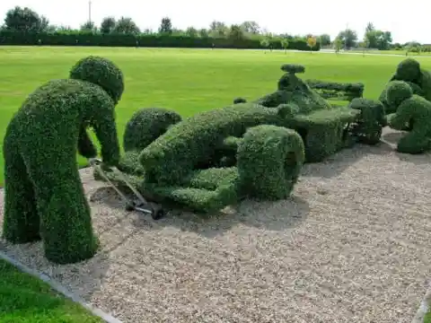 Pit Stop Hedges