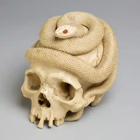 Ivory Snake and Skull