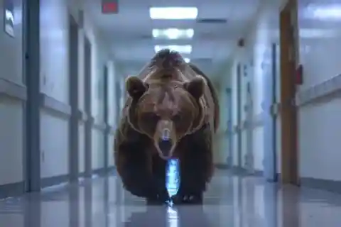 Confronting Fear Head-On