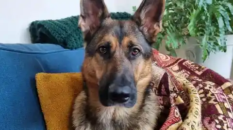 Getting A Lot Of Attention
