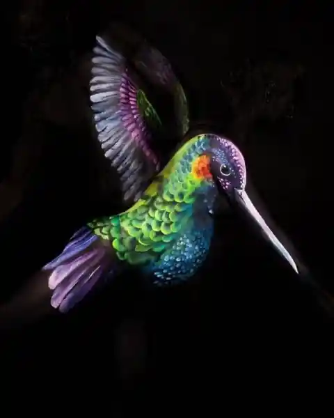 Humming Birds That Pop