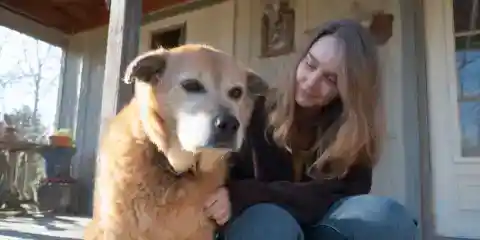 My Grandma Left $100,000 to My Greedy Cousin – All I Got Was Her Old Dog, Which Turned Out to Be Hiding a Secret