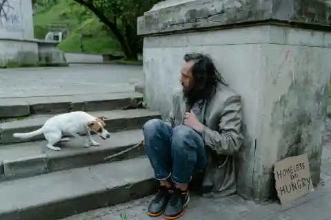 I Gave Food to a Hungry Veteran and His Dog – a Month Later, My Boss Dragged Me into His Office, Furious, and My Whole Life Flipped Upside Down
