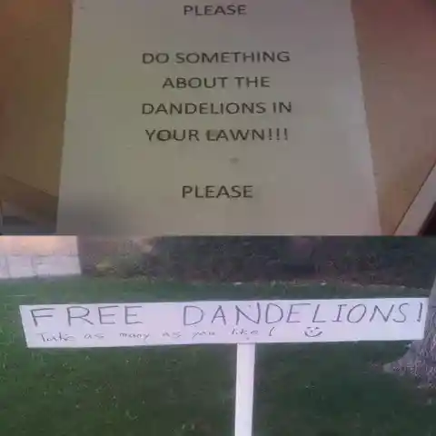 Free Dandelions