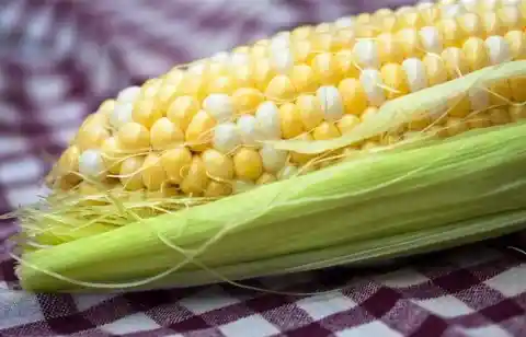 Brush Your Corn like You Brush Your Teeth