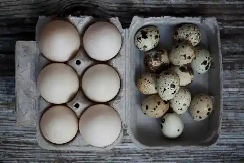 Are Quail Eggs Healthier Than Other Types of Eggs?