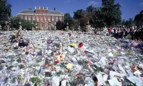 30. Diana Remembered