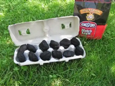 Transport Charcoal in Egg Cartons