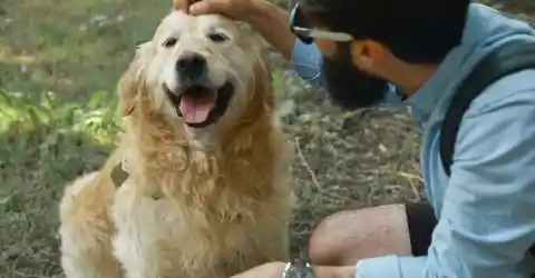 Mark’s Backyard Inspection