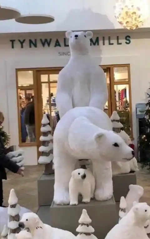 What a Naughty Bear