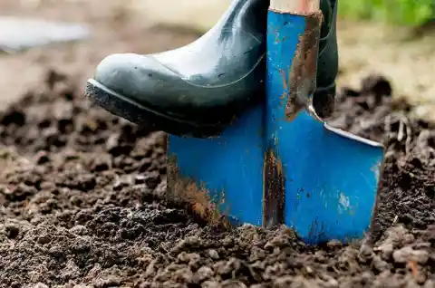 More Digging
