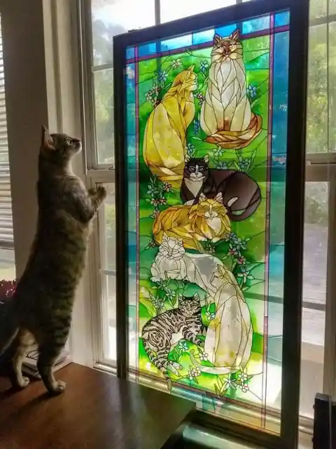 Cat-Themed Stained Glass