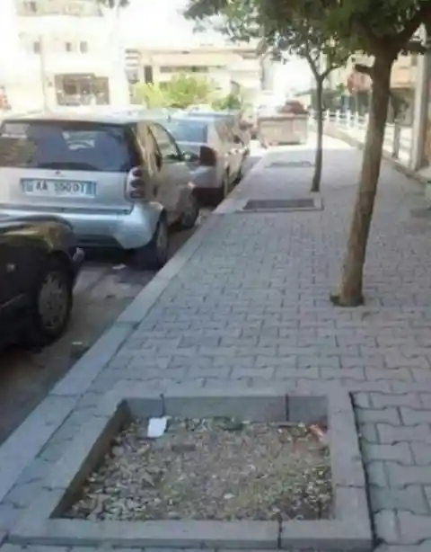 Tree-Lined Sidewalk