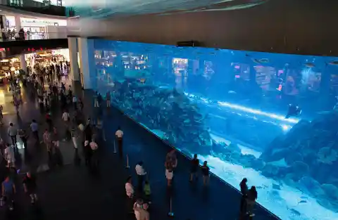 Aquarium im Inneren eines Einkaufszentrums