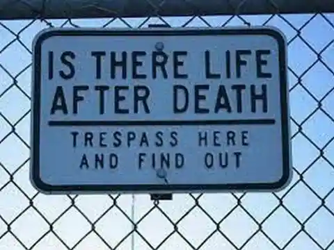 Life After Death?