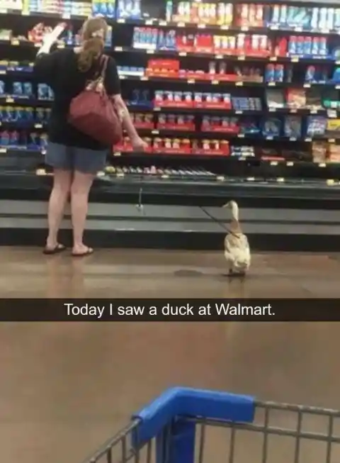 Quacking in the supermarket