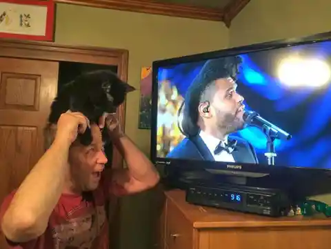 Cat Dad vs. The Weeknd