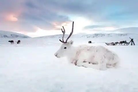 ¿La región de Siberia forma parte de qué país?