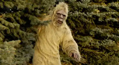 Washington: Bigfoot Protection