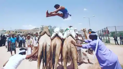 Camel Jumping