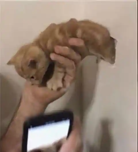 A Visit To The Vet