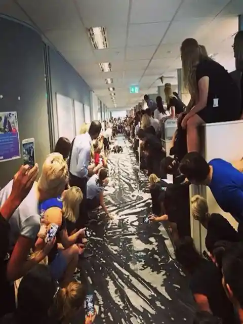 Office-Turned Water Park