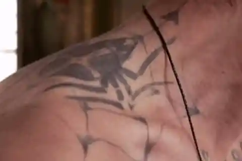 Spider Tats