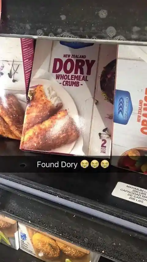 Finally Found Dory