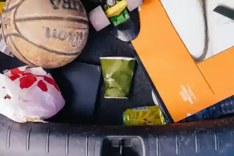 Trunk Organisation