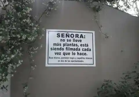 Ya Sé Quien Se Roba Mis Plantas