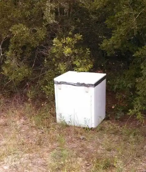 Freezer in the Bushes